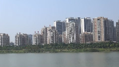 西海情歌