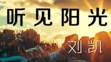 刘凯【听见阳光】20160312期