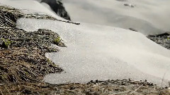 初春的萌动