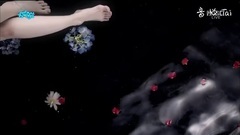 回归预告