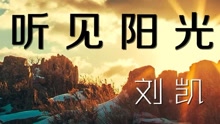 刘凯【听见阳光】20160328期