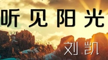 刘凯【听见阳光】20160331期