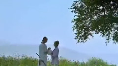 雨蝶