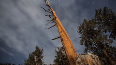 Garador's Flight