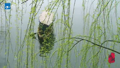 湖山晴雨