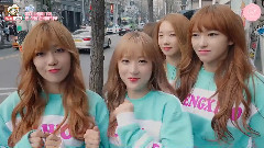 弘大春游
