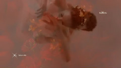 Wild Roses