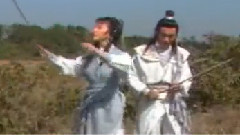 绝尘泪偏洒