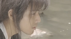 红豆