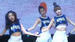 Jelly - SSTV