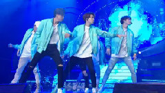 Fly