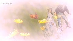 Serenade For You