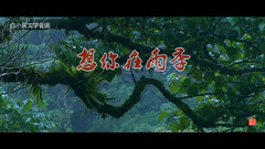 想你在雨季