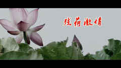 残荷激情