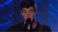 Stitches