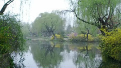 运河畔2016
