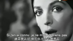 Toi Mon Amour Mon Ami(你 我的爱人 我的朋友)