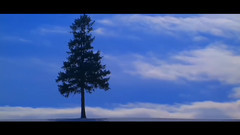 Once Upon A Dream