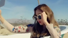 Fly