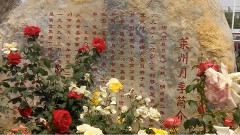 花开莱州