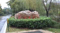 青青河边草