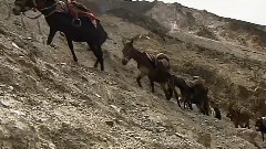 遥远的旅途