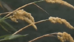 忘尽心中情