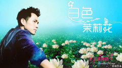 白色茉莉花
