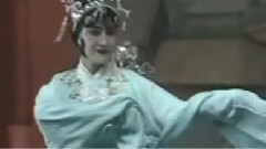 打金枝 (1)