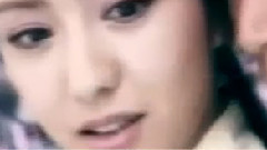 -芙蓉锦