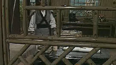示情