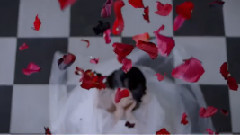 300 SVATOVA