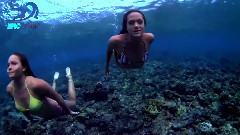 Sexy Ladies Surfing
