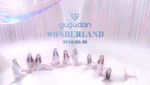 Wonderland Teaser # 1