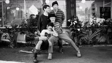 Red Hot Chili Peppers - Dark Necessities