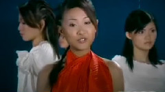 笨金鱼