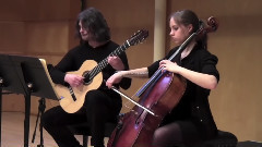 The classical guitar cello duet The mulberry violin Animal carnival The swan