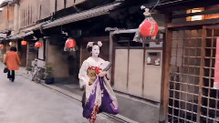 凤仙花