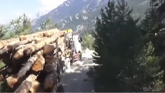 This truck scale