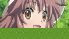 小鸠