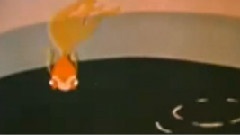 影视原声 - 动画片
