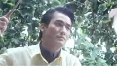 美丽的花蝴蝶