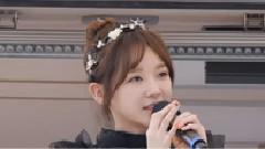 乌龟
