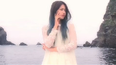 D Island 预告版