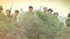 影视原声 - 真英雄 电视剧<冒牌英雄>片尾曲