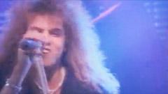 Rock The Night