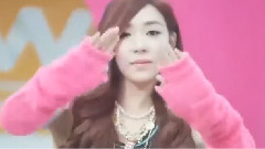 Love Blossom