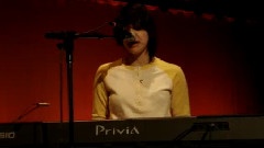 Yellow Butterfly