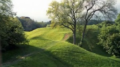 Fields of Gold