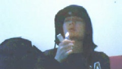 关于小熊
